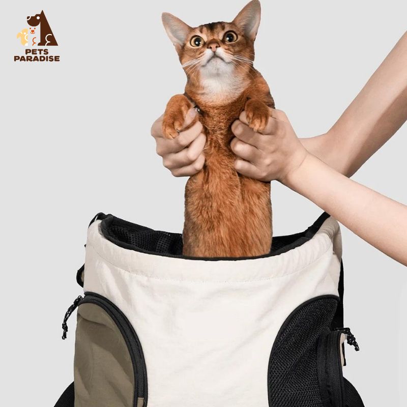 Comfortable Front-Carry Pet Backpack - Inspired by Baby Carriers