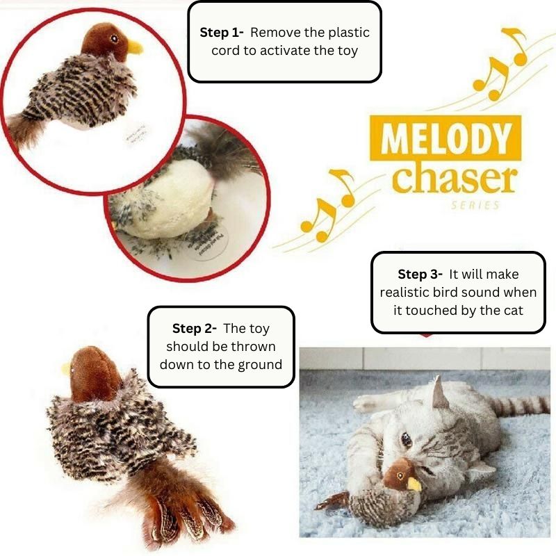 Best Interactive Bird Toy For Your Cat In 2024