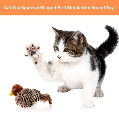 Best Interactive Bird Toy For Your Cat In 2024