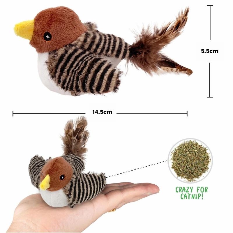 Best Interactive Bird Toy For Your Cat In 2024