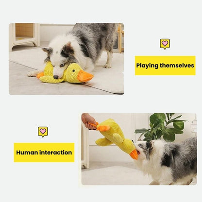 Wuff Duck | Vet-approved Product Of The Year 2024